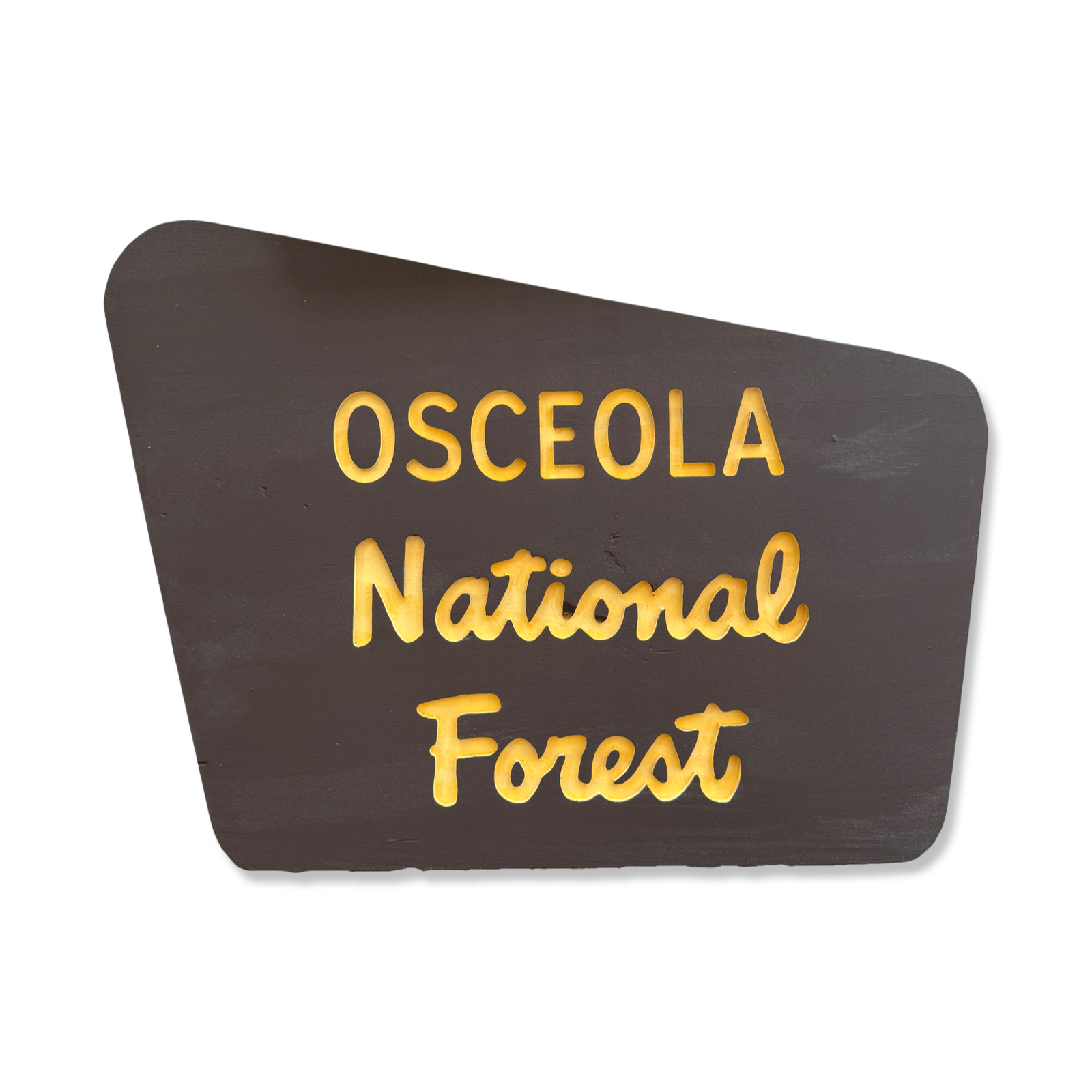 USA森林局看板 Tahoe National Forest/Rustic/Carved/Wood Sign/Cabin/Décor