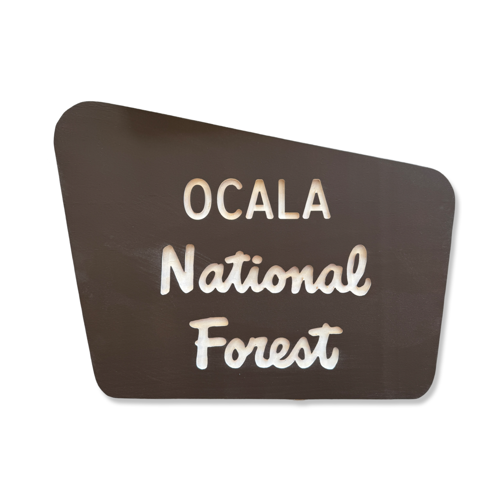 USA森林局看板 National Forest Sign | Carpenter Woodworks